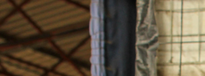 José Passos